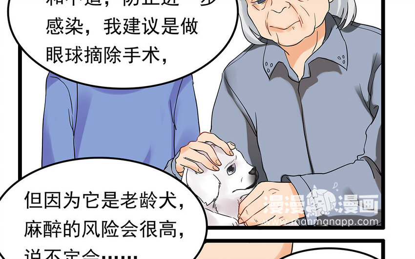 5 第6话 病危的京巴-第5话