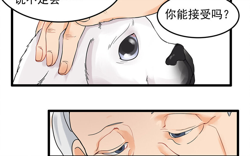 5 第6话 病危的京巴-第5话