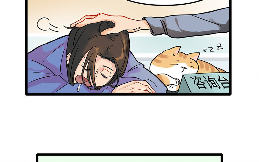 5 第6话 病危的京巴-第5话