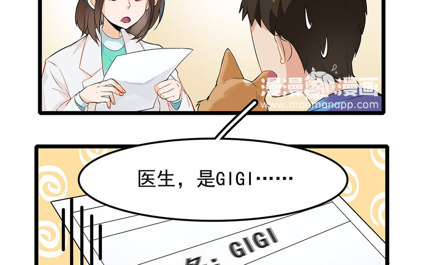 9 第10话 可爱的兽医-第9话