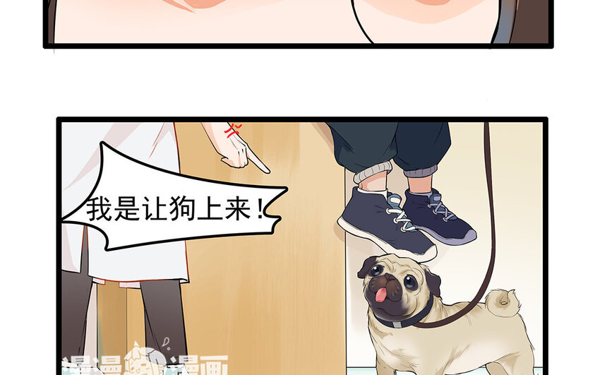 9 第10话 可爱的兽医-第9话