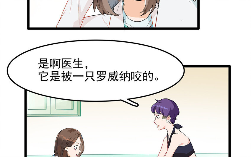 9 第10话 可爱的兽医-第9话