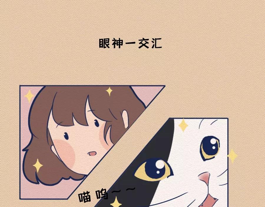 第17话：我们为什么沉迷撸猫？(1/2)-第17话