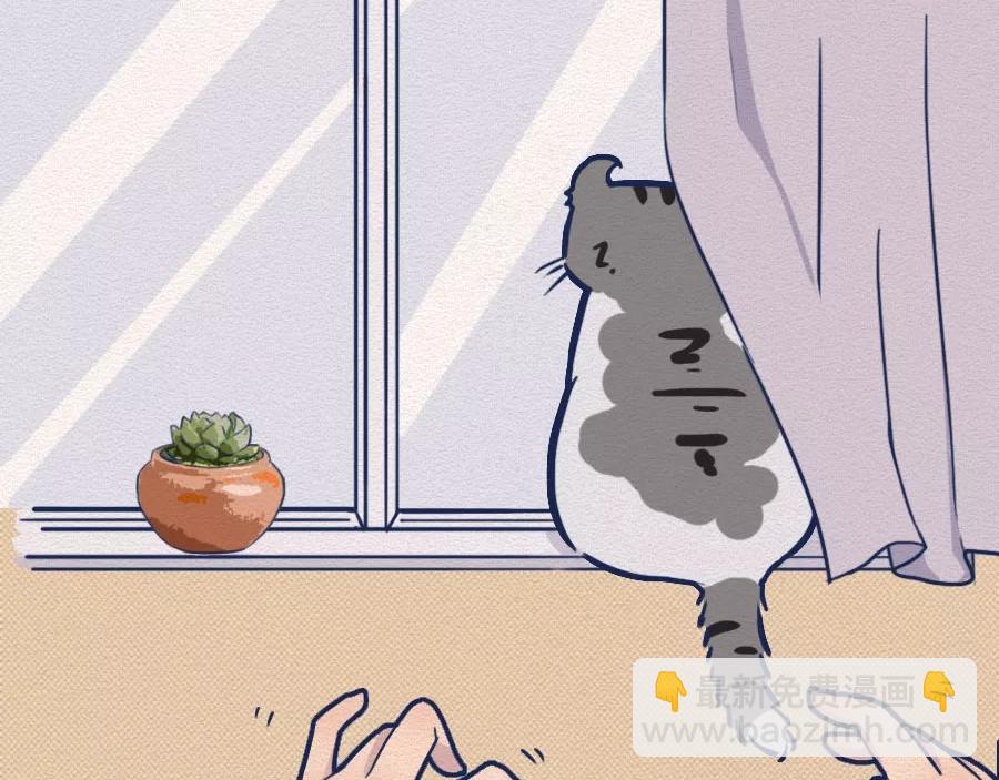 第17话：我们为什么沉迷撸猫？(1/2)-第17话