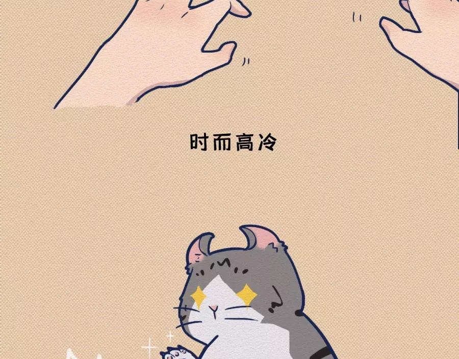 第17话：我们为什么沉迷撸猫？(1/2)-第17话