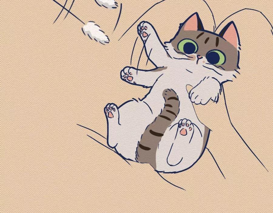 第17话：我们为什么沉迷撸猫？(1/2)-第17话