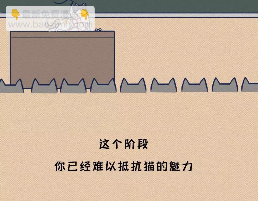 第17话：我们为什么沉迷撸猫？(1/2)-第17话