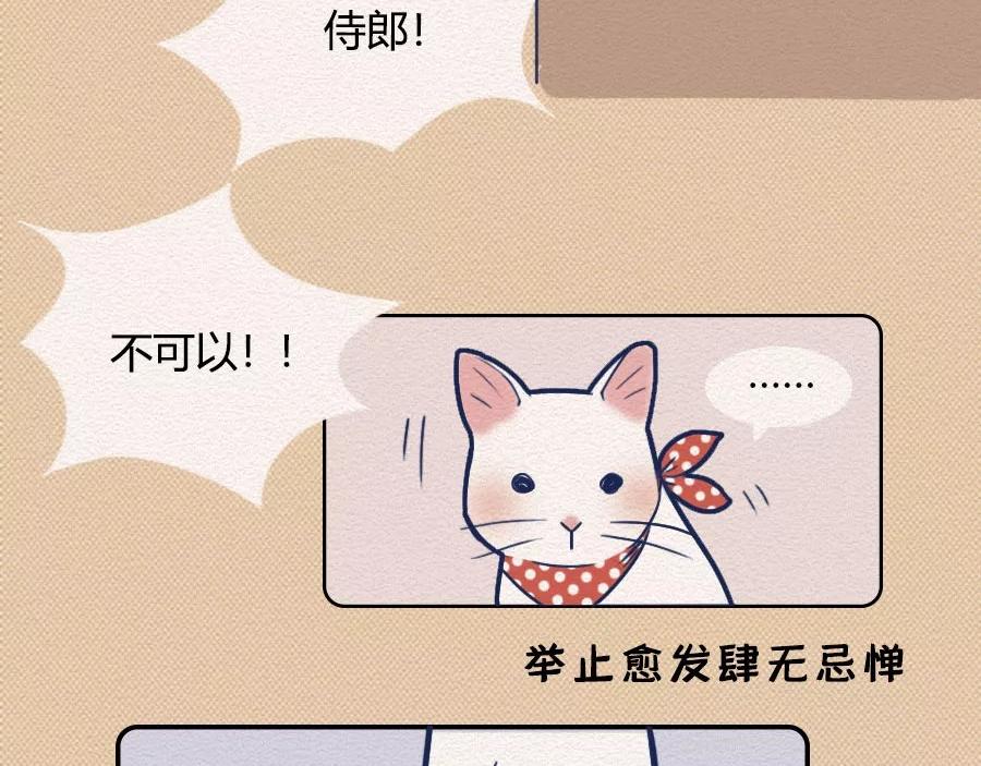 第17话：我们为什么沉迷撸猫？(1/2)-第17话