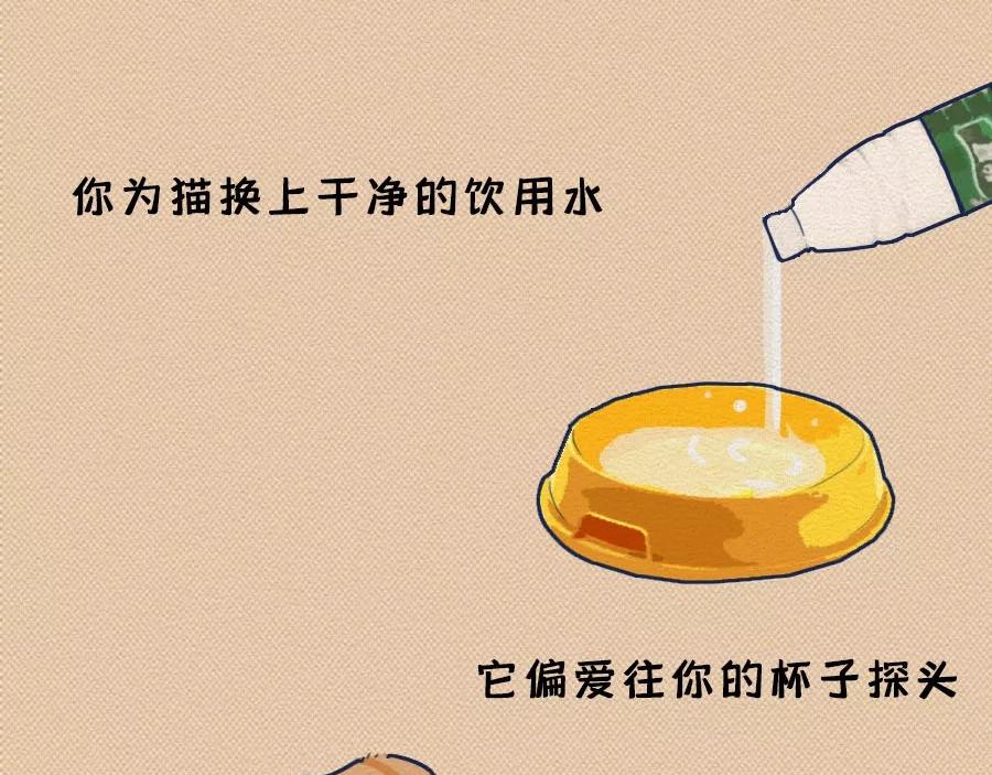 第17话：我们为什么沉迷撸猫？(1/2)-第17话