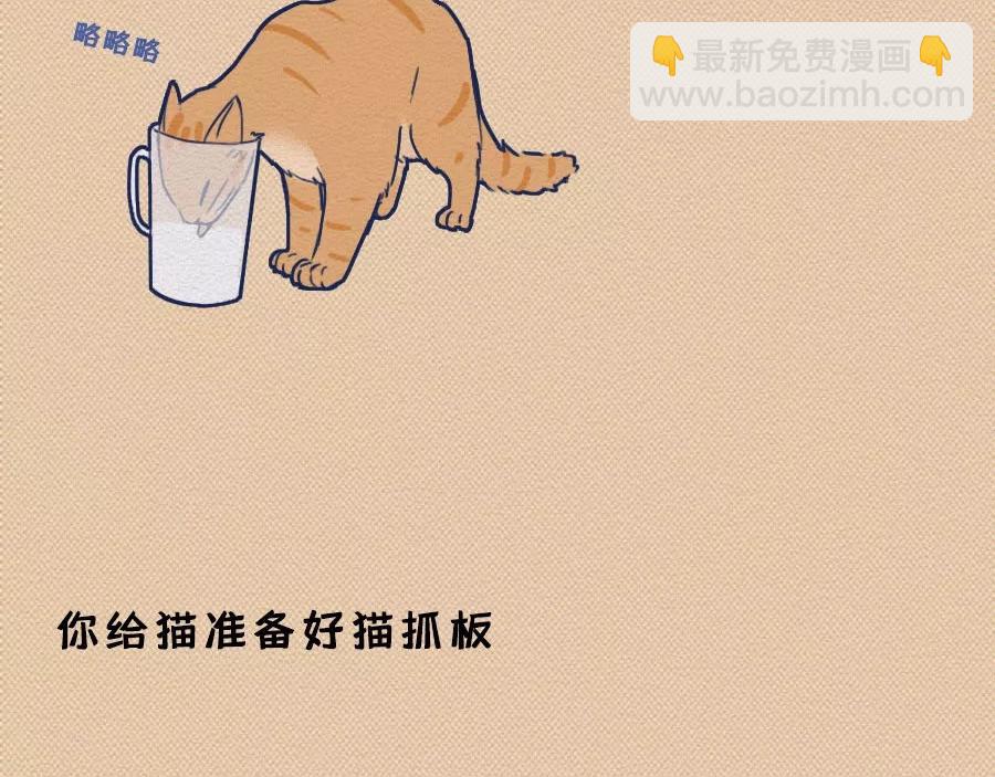 第17话：我们为什么沉迷撸猫？(1/2)-第17话