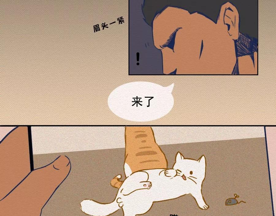第17话：我们为什么沉迷撸猫？(1/2)-第17话