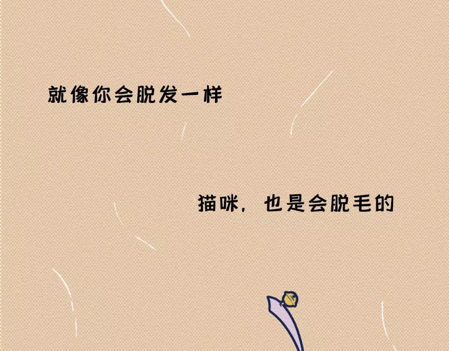 第17话：我们为什么沉迷撸猫？(1/2)-第17话