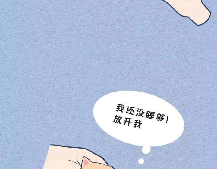 第19话：有些猫撸着撸着就没了(1/2)-第19话