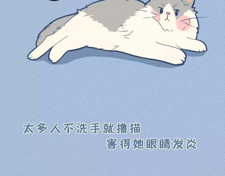 第19话：有些猫撸着撸着就没了(1/2)-第19话