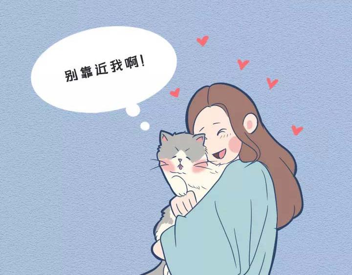 第19话：有些猫撸着撸着就没了(1/2)-第19话