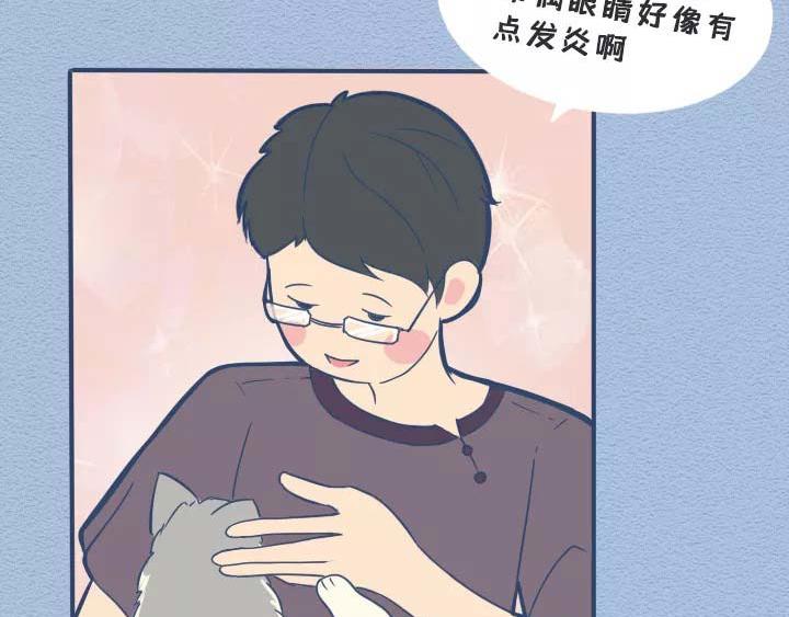 第19话：有些猫撸着撸着就没了(1/2)-第19话