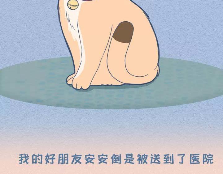 第19话：有些猫撸着撸着就没了(1/2)-第19话