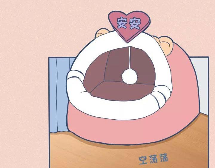 第19话：有些猫撸着撸着就没了(1/2)-第19话