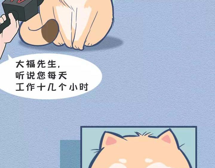 第19话：有些猫撸着撸着就没了(1/2)-第19话