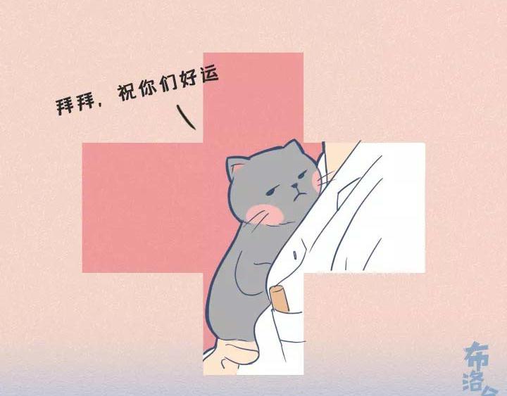 第19话：有些猫撸着撸着就没了(1/2)-第19话