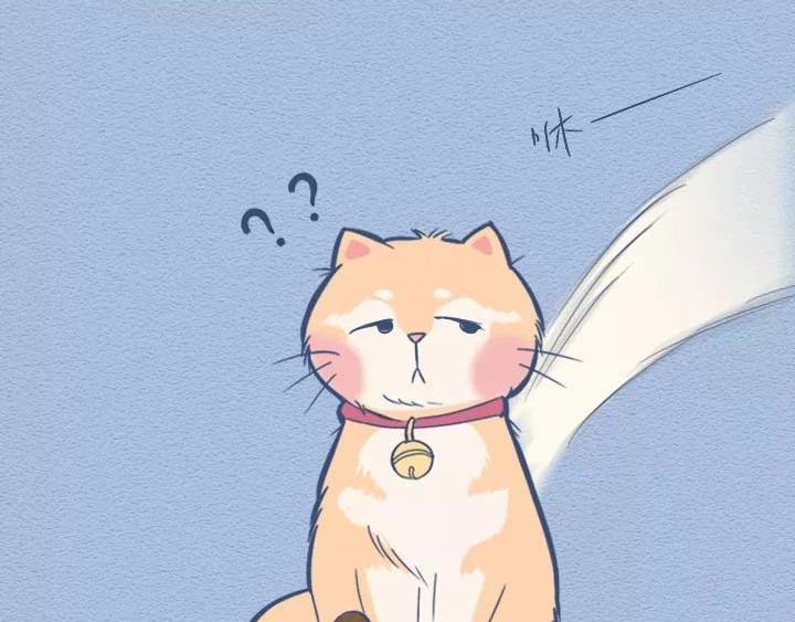第19话：有些猫撸着撸着就没了(1/2)-第19话