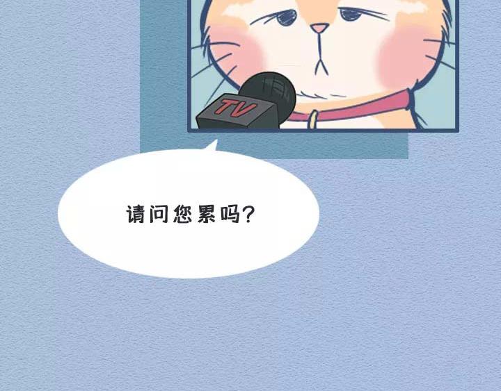 第19话：有些猫撸着撸着就没了(1/2)-第19话