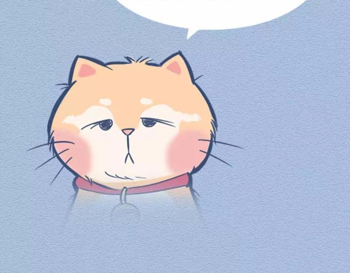 第19话：有些猫撸着撸着就没了(1/2)-第19话