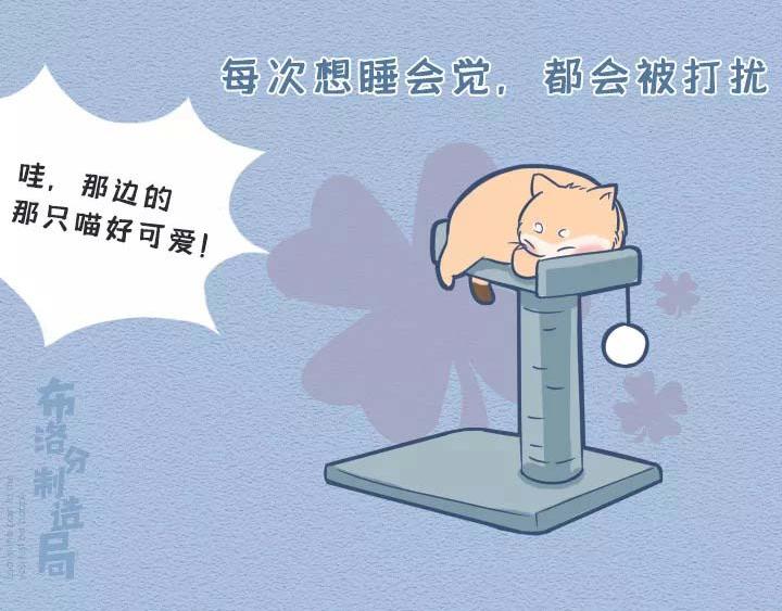 第19话：有些猫撸着撸着就没了(1/2)-第19话