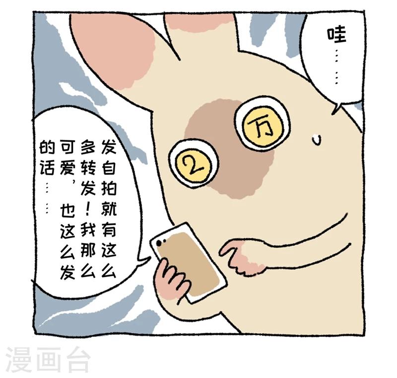 第1话 不切登场(1/2)-第1话