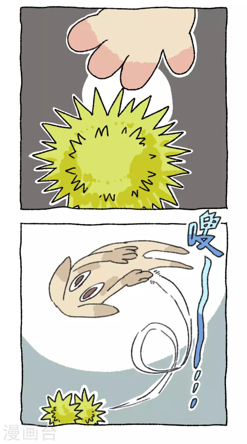 第43话 栗子记-第43话