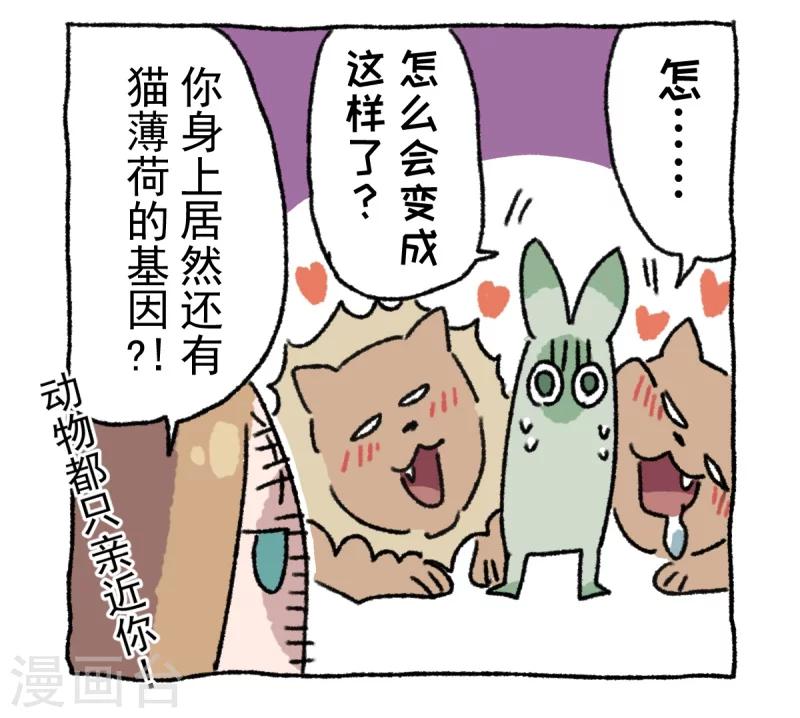 第9话 动物园-第9话