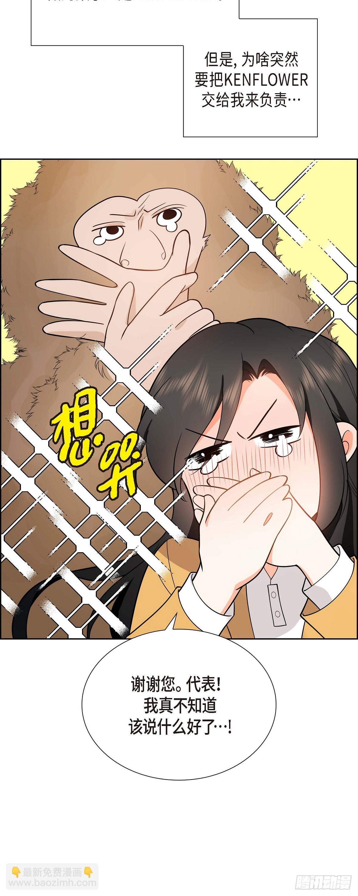 02 为啥非得结婚呀(1/2)-第3话