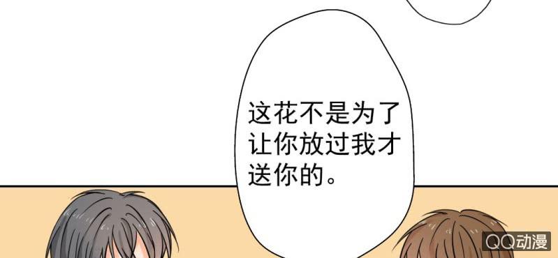 第29话 这花是送你的(1/2)-第31话