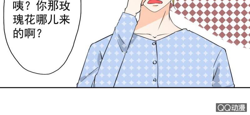 第29话 这花是送你的(1/2)-第31话