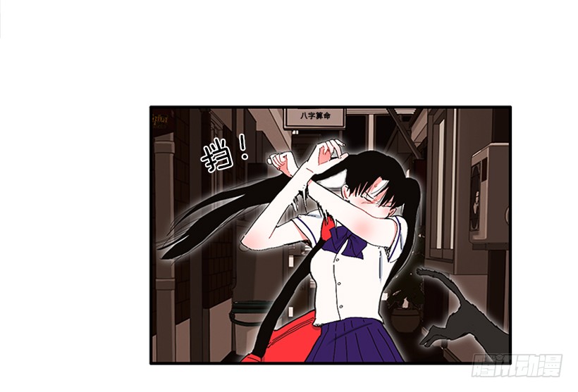 103.撸猫-第103话