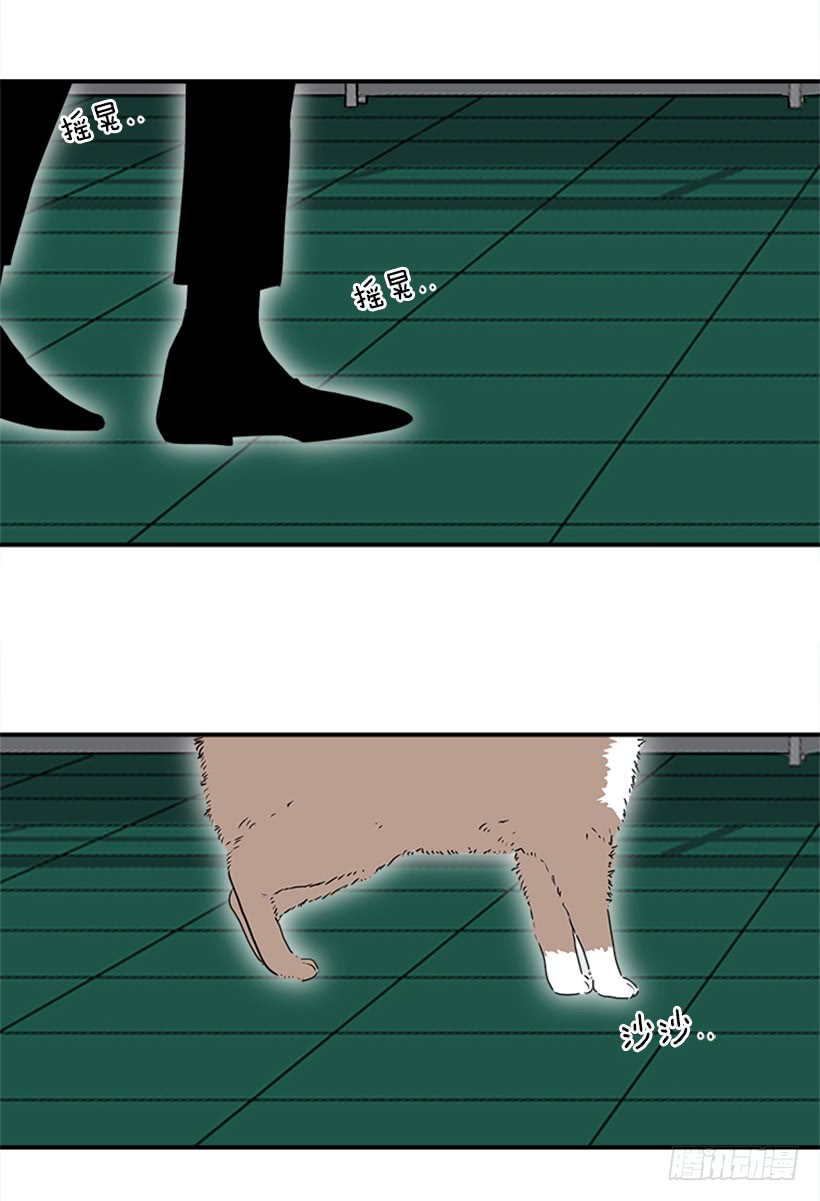 140.消散的大喵-第139话