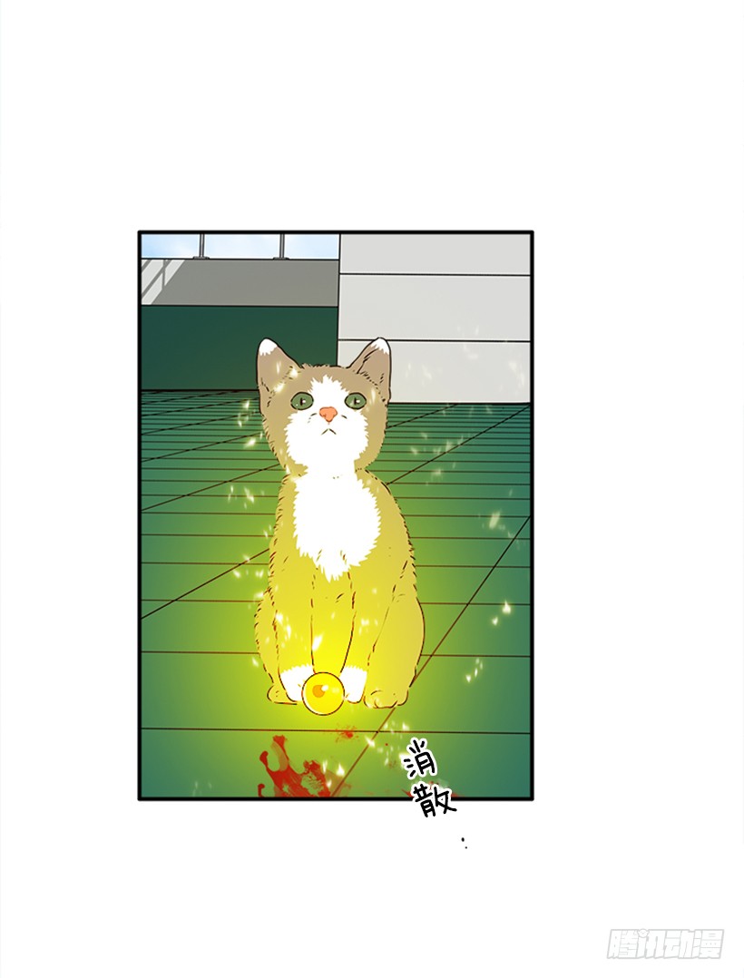 140.消散的大喵-第139话