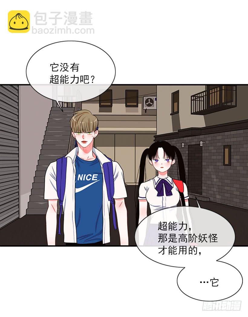 我的猫崽-第45话