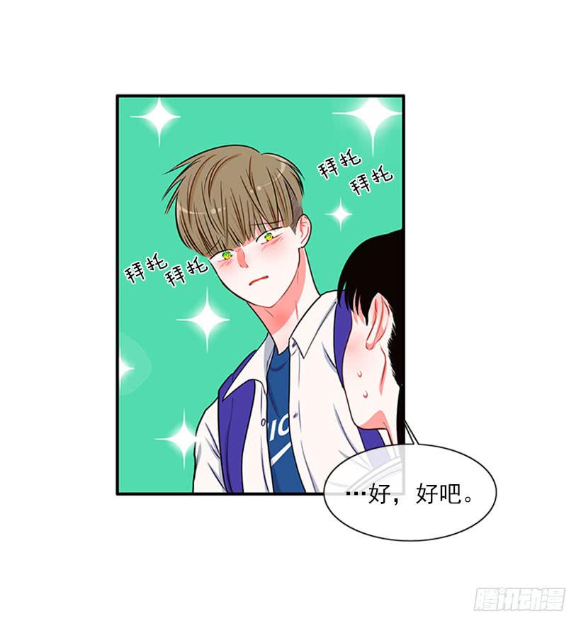 我的猫崽-第45话