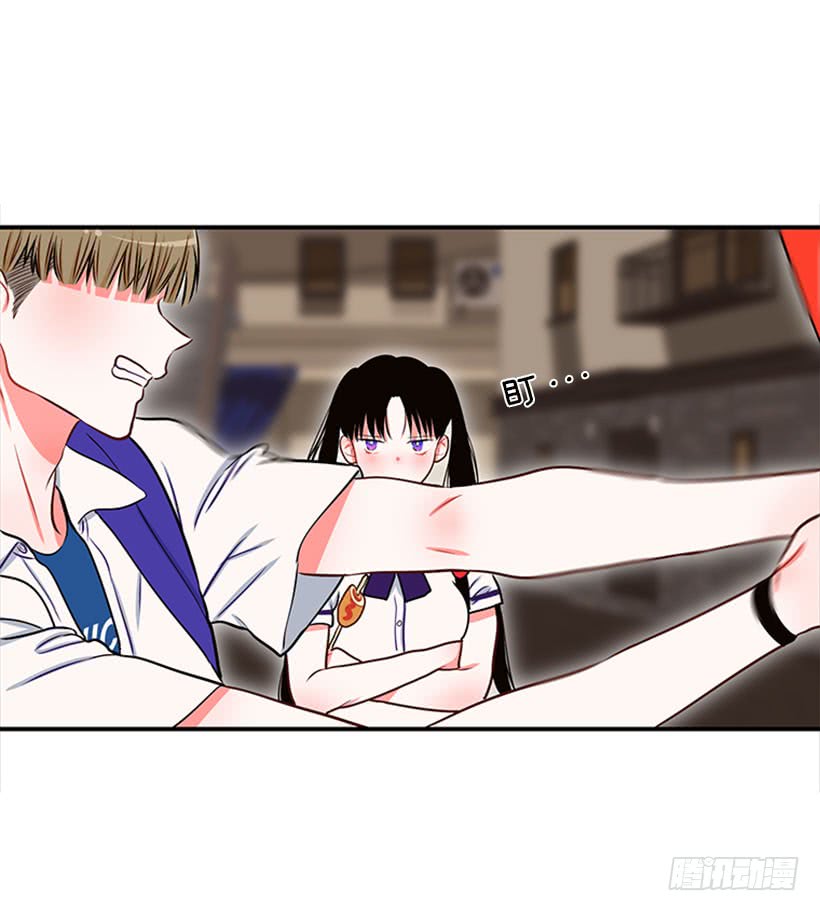 我的猫崽-第45话