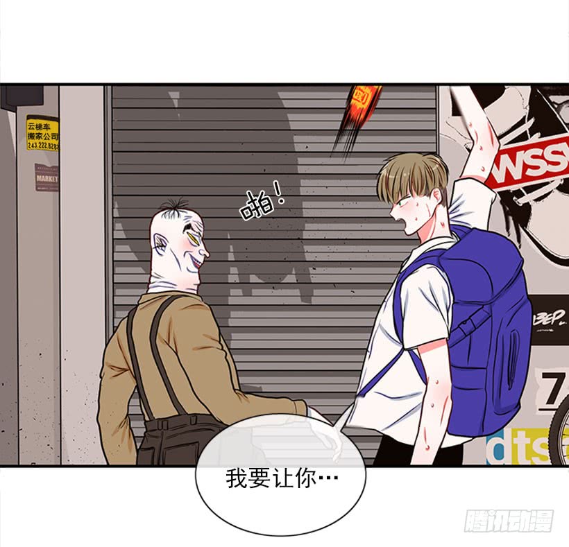 我的猫崽-第45话