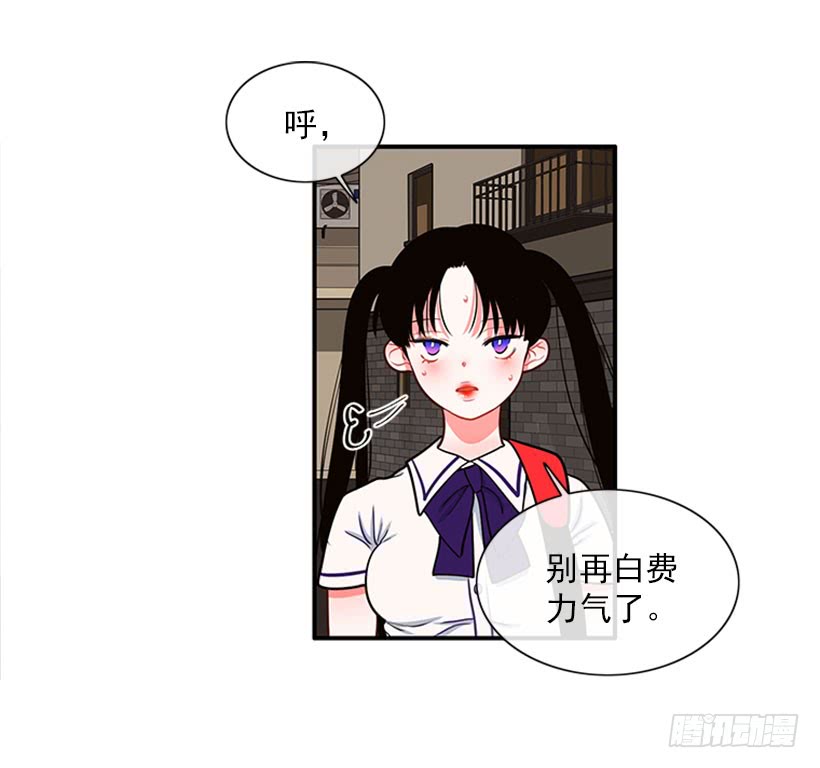 我的猫崽-第45话