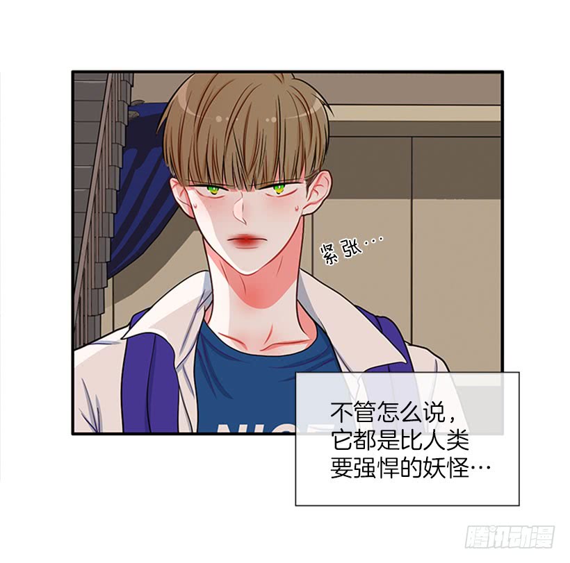 我的猫崽-第45话