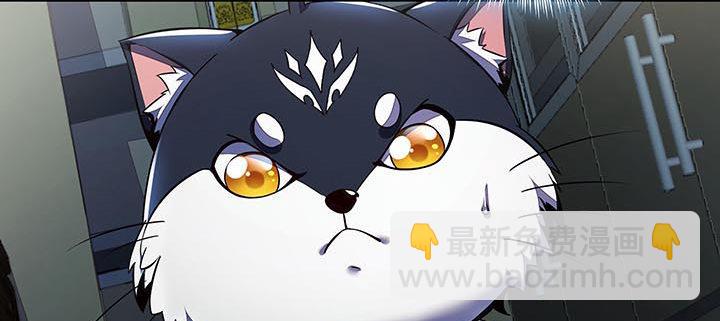 15话 修真法宝(1/7)-第15话