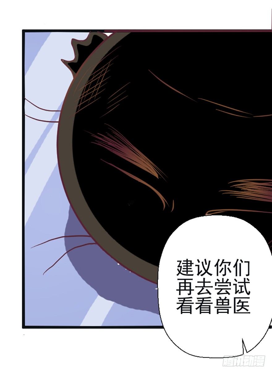 兽医院的希望-第45话