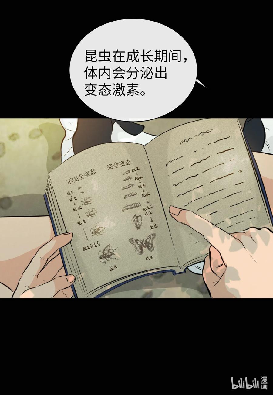 39 昆虫日记(1/2)-第39话