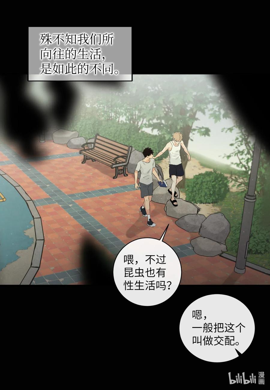 39 昆虫日记(1/2)-第39话