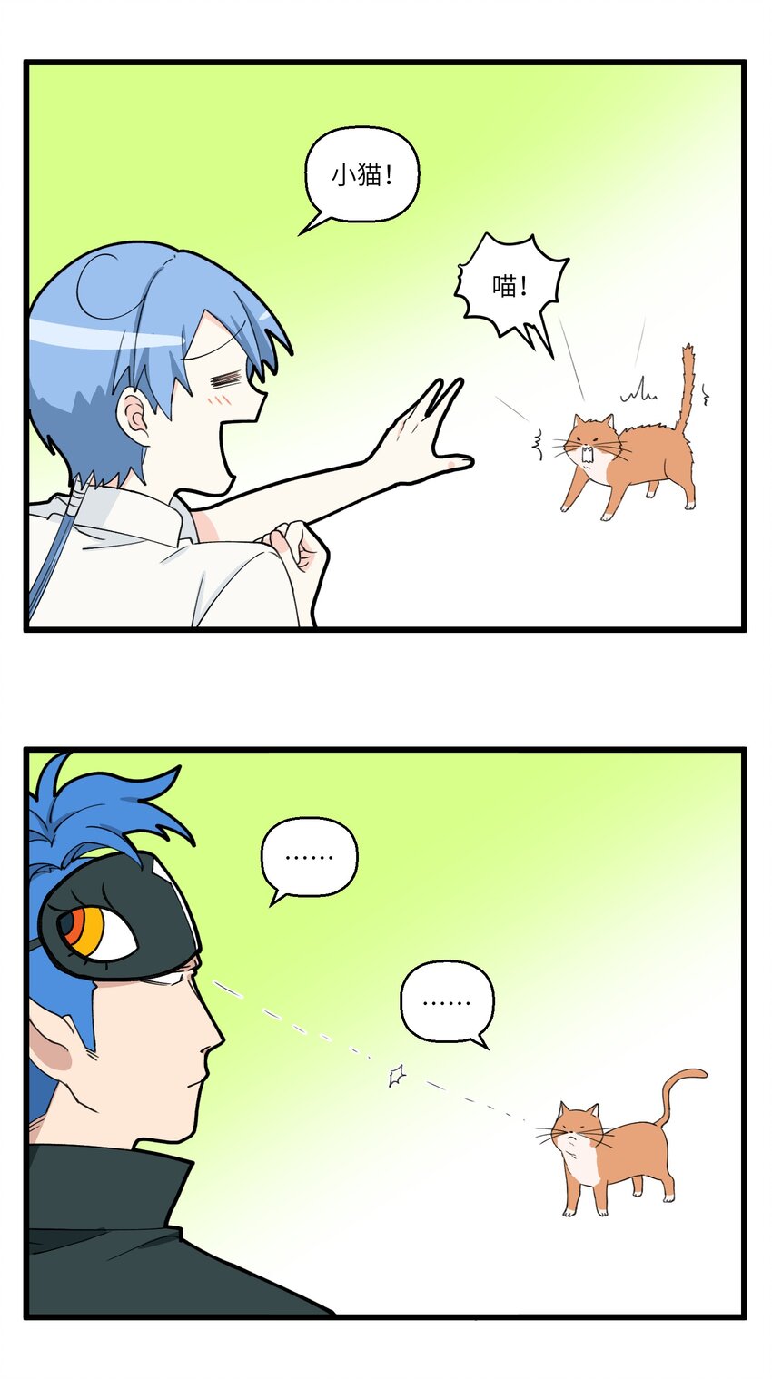 063 野猫太粘人了怎么办？-第63话