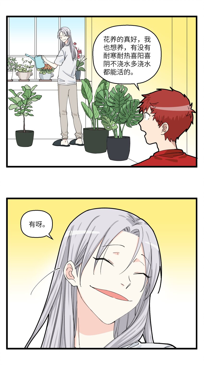 077 植物杀手最适合养什么-第77话