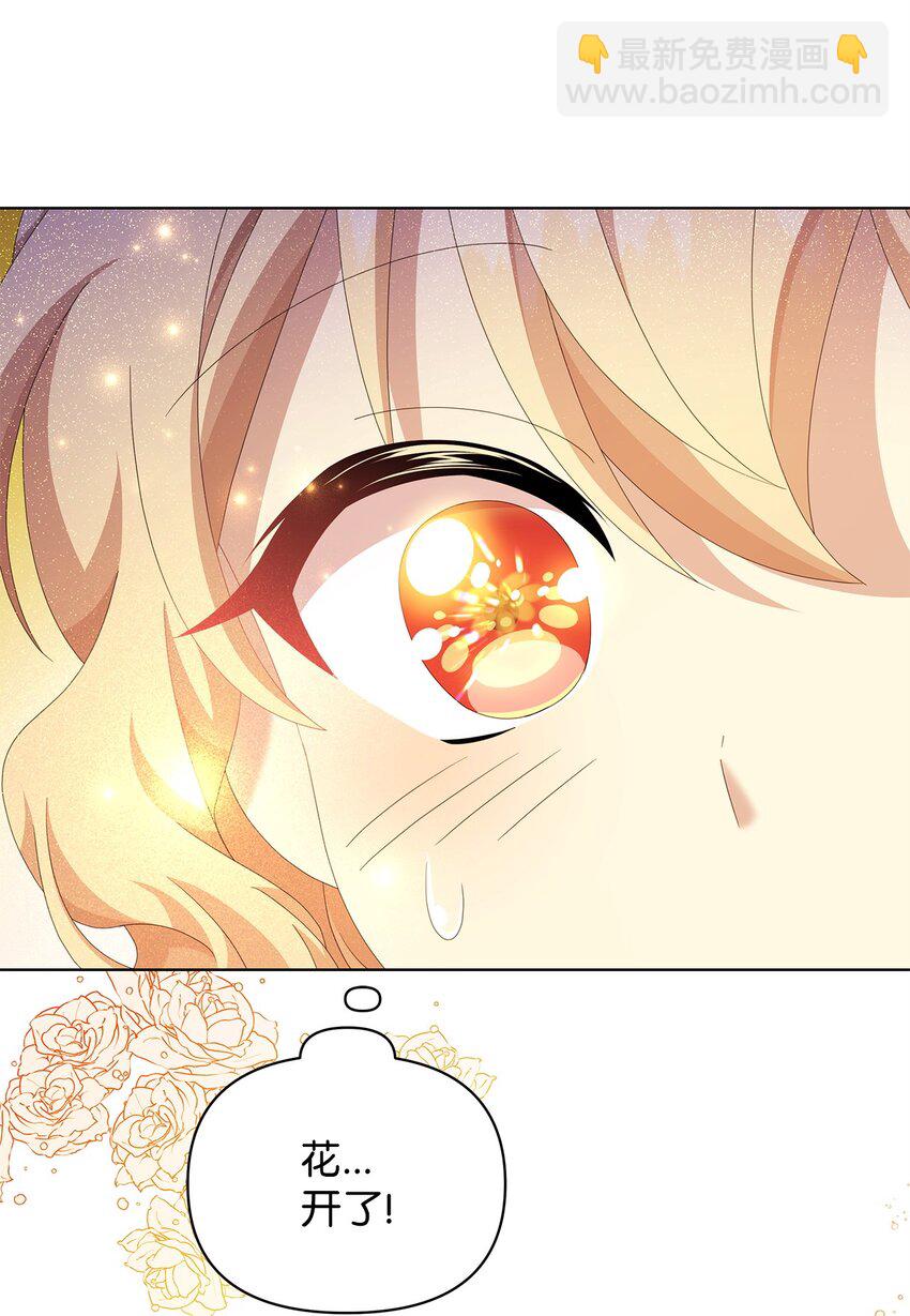 15 魔法(1/2)-第15话